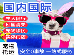 图木舒克唐王城航空物流国际宠物托运 【国